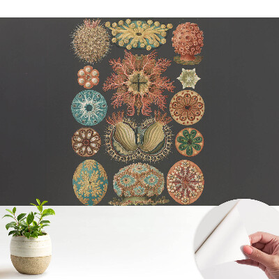 Modern tapéta Absztrakt tengeri formák klasszikus stílusban