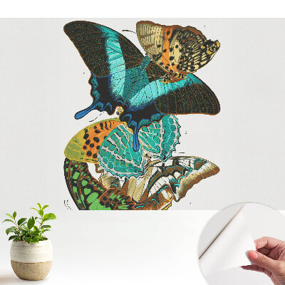 Öntapadó tapéta Színes pillangók klasszikus harmonikus kompozíció