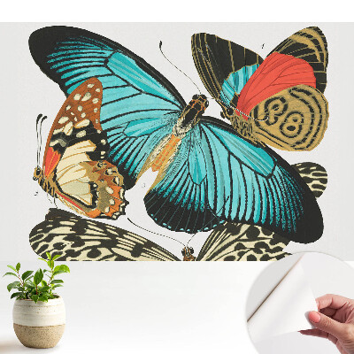 Öntapadós tapéta falra Színes pillangók klasszikus stílusban