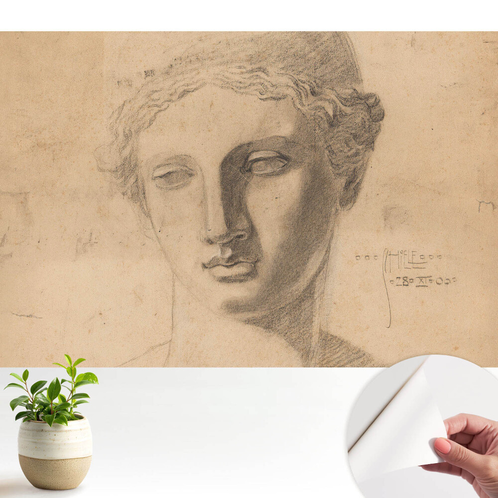 Öntapadós tapéta Klasszikus női arcgrafika