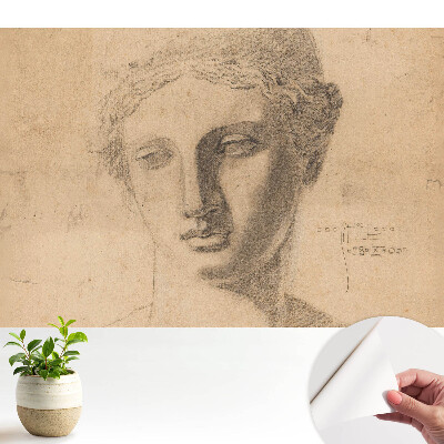 Öntapadós tapéta Klasszikus női arcgrafika