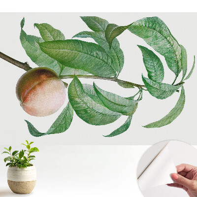 Öntapadós tapéta őszibarack- és levélmotívummal klasszikus stílusban