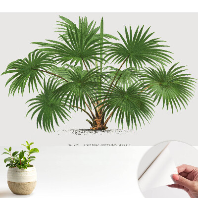 Öntapadós tapéta zöld pálma szimmetrikus kompozícióval