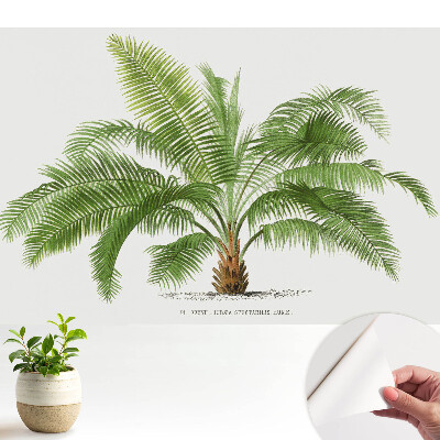 Öntapadó tapéta trópusi pálmafa illusztrációval