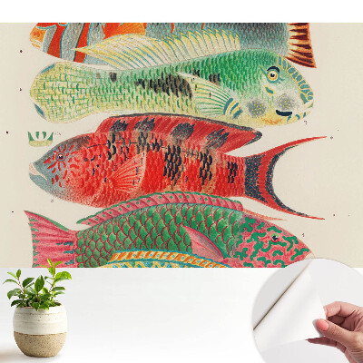 Öntapadós tapéta klasszikus stílusban, illusztrált színes halak mintával