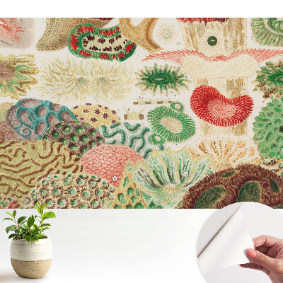 Modern tapéta absztrakt organikus motívumokkal és textúrákkal