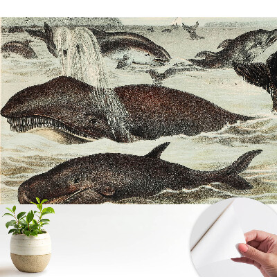 Öntapadó tapéta, vízi állatok motívumával