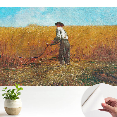 Öntapadó tapéta: egy gazda a búzaföldön a kék ég alatt