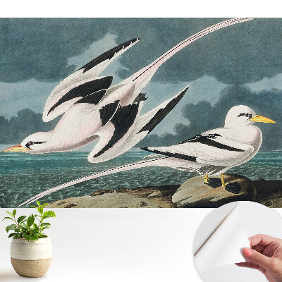 Öntapadós falitapéta tengerparti madármotívummal