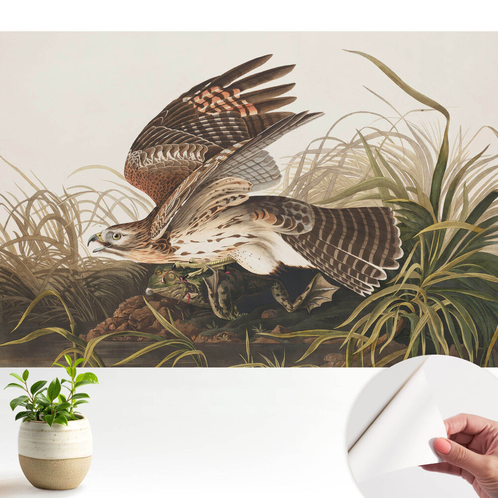 Modern tapéta Egy madár repülés közben a fű között