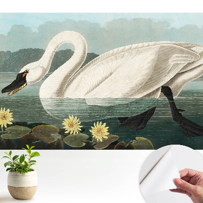 Tapéta Stílusos hattyú és tavirózsák klasszikus szépsége