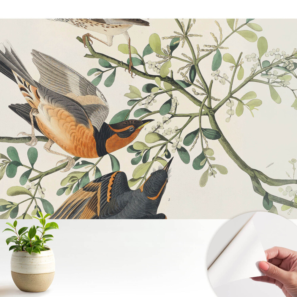 Öntapadós tapéta Madarak a zöld levelek között