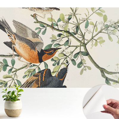 Öntapadós tapéta madarakkal és zöld levelekkel