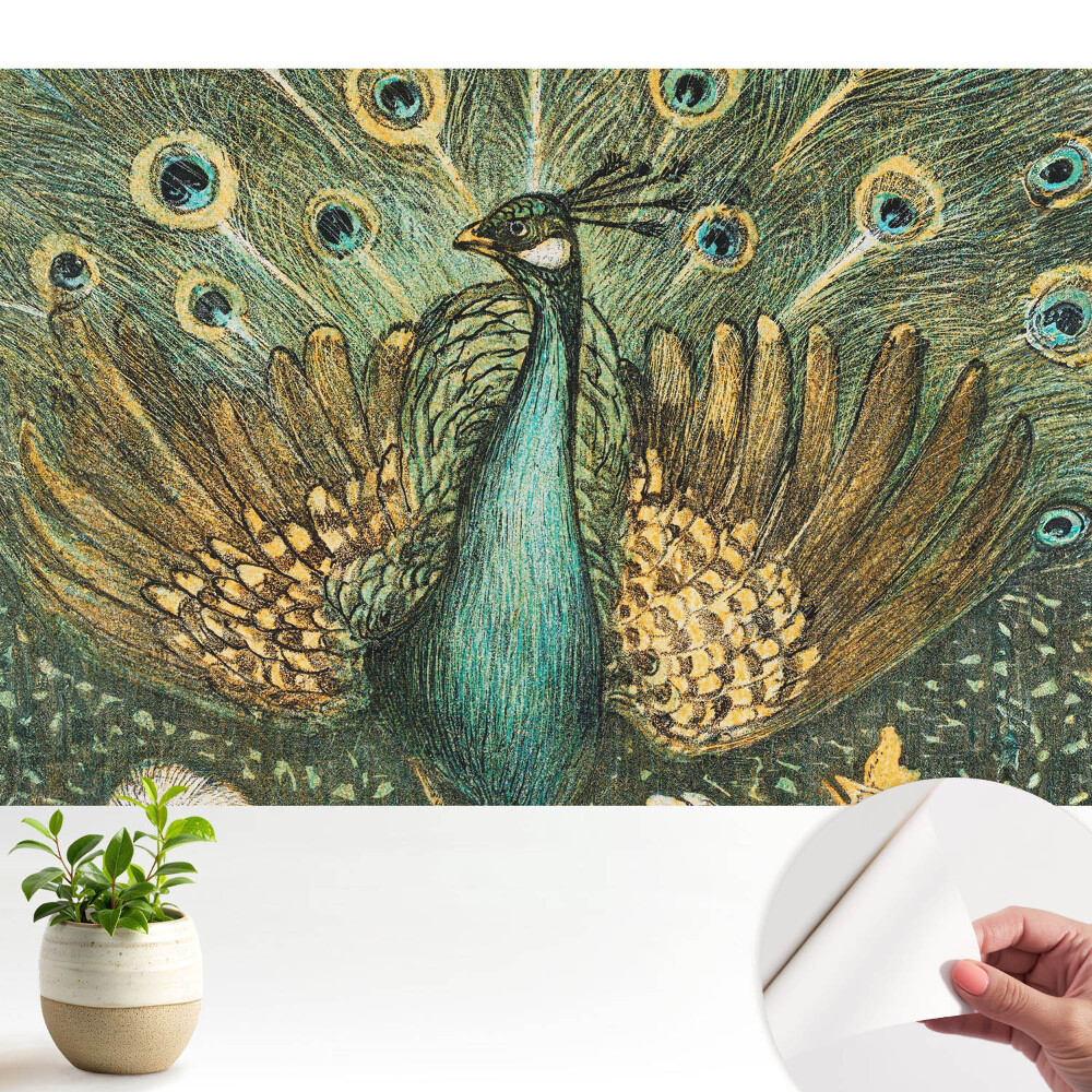 Öntapadó tapéta Klasszikus páva elegancia természet