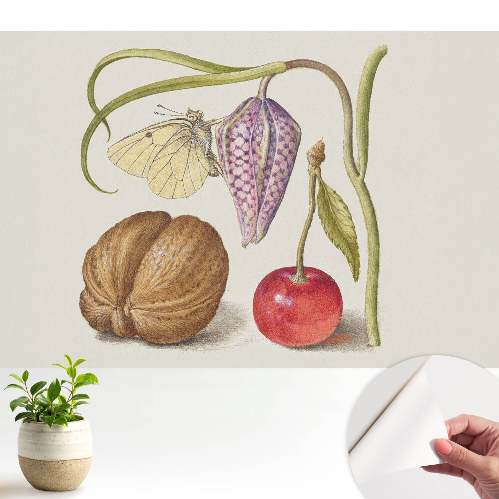 Öntapadós tapéta falra Pillangó virágon, levélen és gyümölcsön