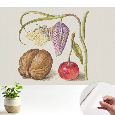 Öntapadós tapéta pillangós, virágos és gyümölcsös mintával