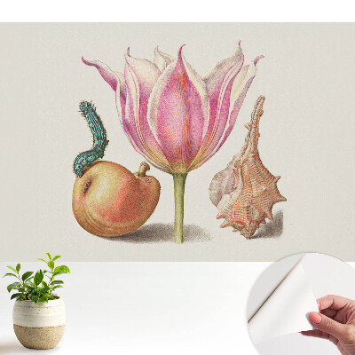 Dekor tapéta Virág hernyóhéj harmónia.