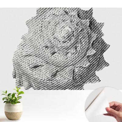 Tapéta Spirálhéj vizuális harmónia