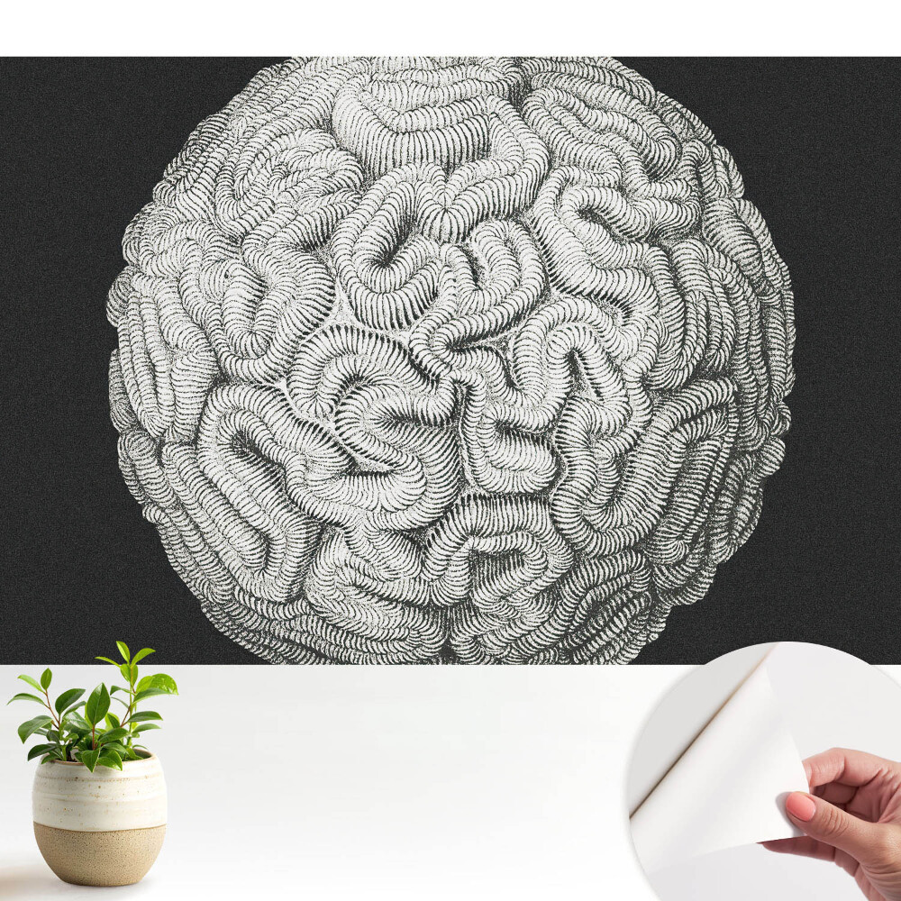 Modern tapéta Monokróm gömb alakú harmonikus szerkezet