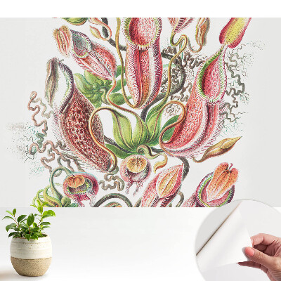 Öntapadós tapéta exotikus rovarevő növények mintájával