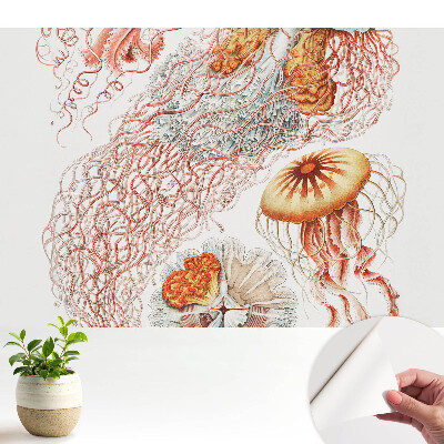 Öntapadós tapéta falra Művészi medúza részletekkel