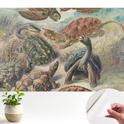 Dekortapéta különböző teknősökkel vízi tájban