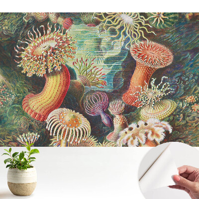 Tapéta víz alatti formákkal és élénk színekkel