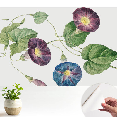 Modern tapéta finom virágos botanikai motívumokkal