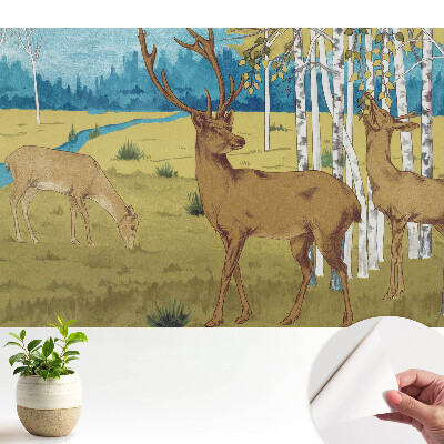 Öntapadó tapéta szarvassal a nyírfaerdőben