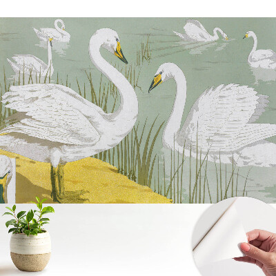 Öntapadós tapéta hattyúmintával a tavon, romantikus eleganciát sugalló