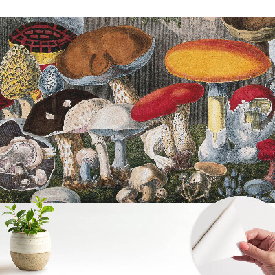 Öntapadós tapéta falra Gombafajta botanikai stílus