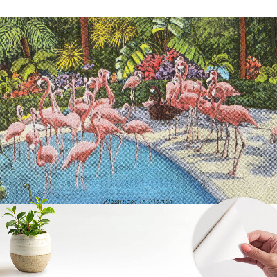 Modern tapéta Flamingók a medence mellett