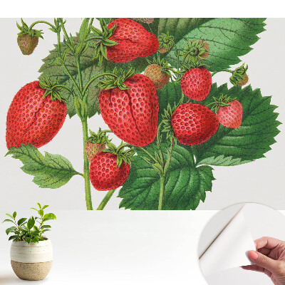 Öntapadós tapéta Eper zöld háttérrel