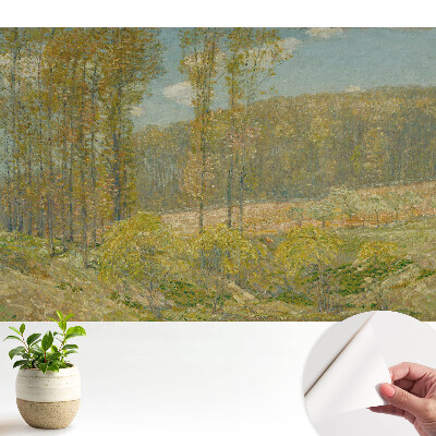 Dekor tapéta Természetes táj harmonikus stílusban