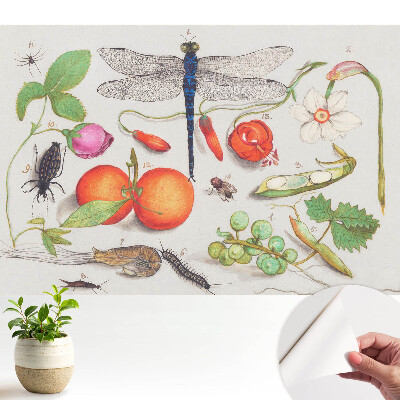 Dekor tapéta botanikai kollázzal és rovarmotívummal
