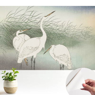 Öntapadó tapéta, finom madármintával a fűben