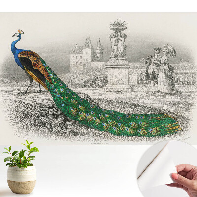 Tapéta páva- és barokk kertmotívumokkal