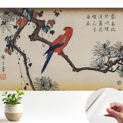 Öntapadós tapéta Egy színes madár egy faágon