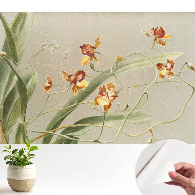 Öntapadós tapéta szürke háttéren megjelenő orchidea mintával
