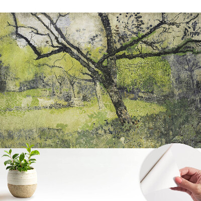 Öntapadó tapéta Zöld terület a park fájában