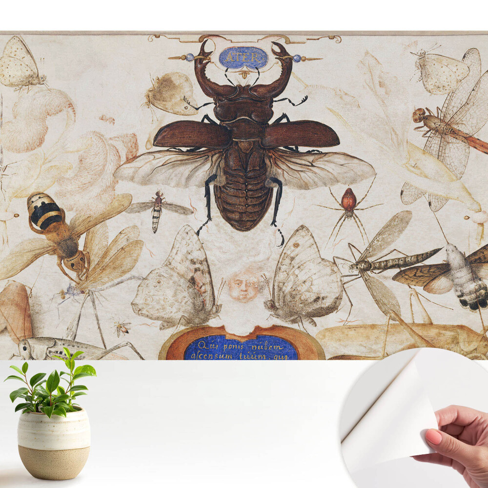 Öntapadós tapéta falra Rovarok lepkék pók klasszikus szimmetria