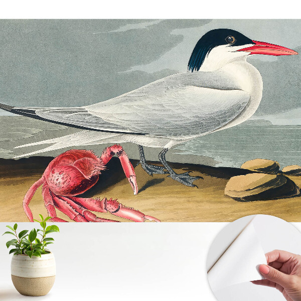 Modern tapéta Madár és rák, a természet klasszikus duettje