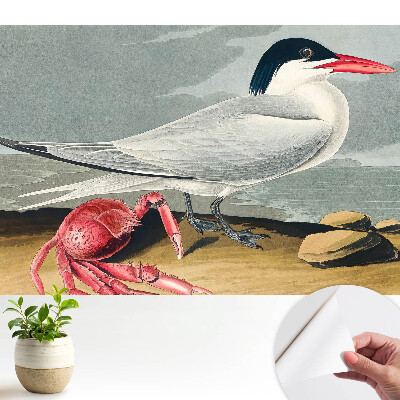 Modern tapéta madár és rák motívummal, a természet klasszikus duettjével