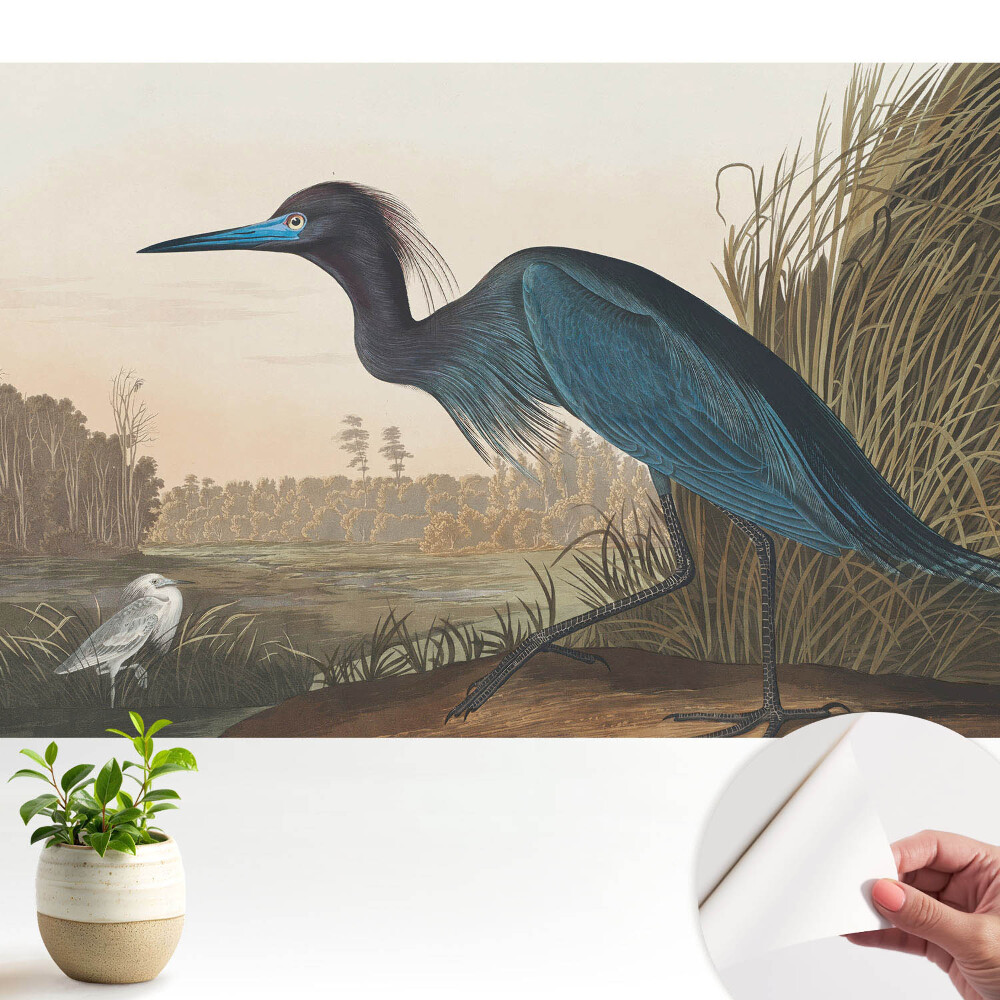 Modern tapéta Klasszikus madártájkép