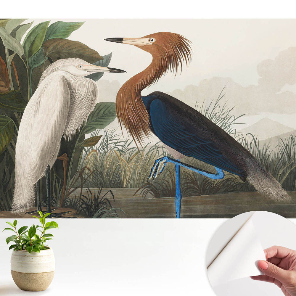 Tapéta Elegáns madarak a növényzetben