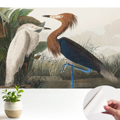 Tapéta Elegáns madarak a növényzetben