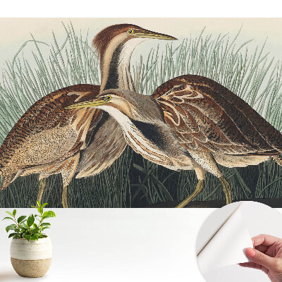 Öntapadós tapéta Madarak a fűben Klasszikus realizmus Szimmetria