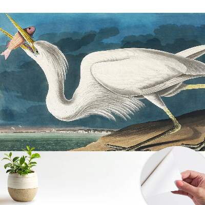 Dekor tapéta Madár eleganciája és természete