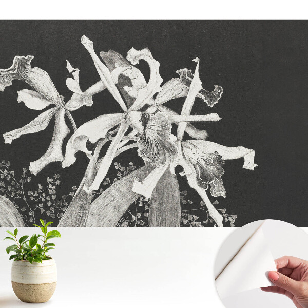 Dekor tapéta Elegáns virágok sötét háttér előtt