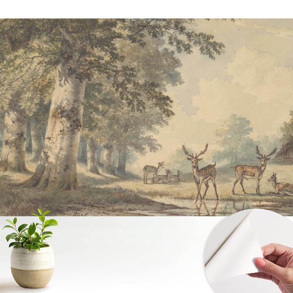 Öntapadós tapéta Erdei szarvasok a patak mellett